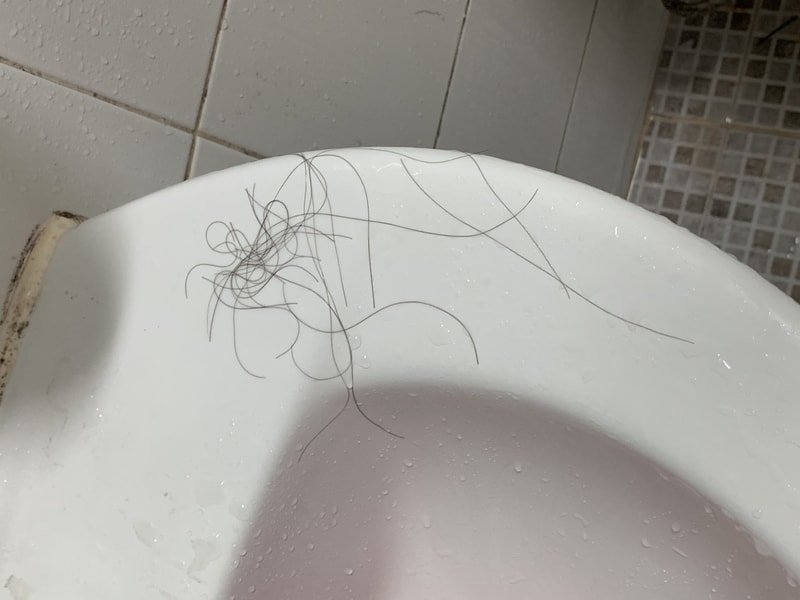 A8263D7C-068A-444A-825C-7656C9F981D9.jpeg