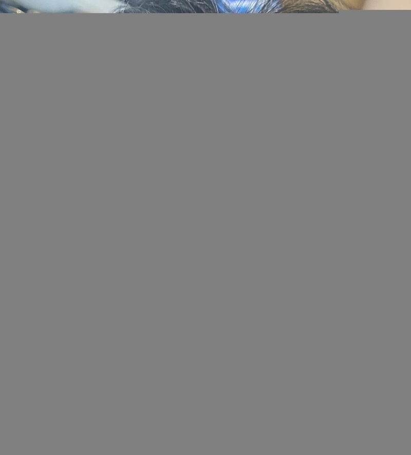 5619770A-C338-4CB2-A2F4-835D51B17F7B.jpeg