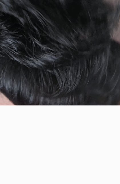 1000004059.gif