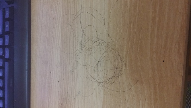 1111.jpg