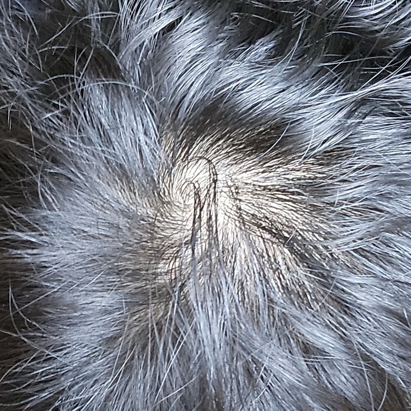 20230711_185401.jpg