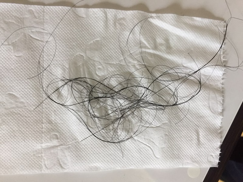 KakaoTalk_20180829_112012944.jpg
