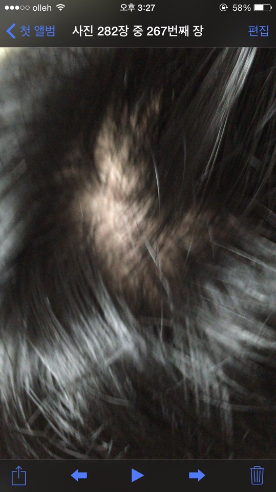 KakaoTalk_20150408_152918731.jpg