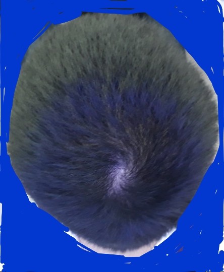 KakaoTalk_20180517_010430801.jpg