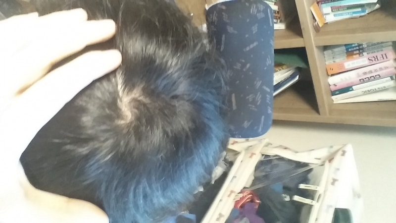 20150620_133234.jpg