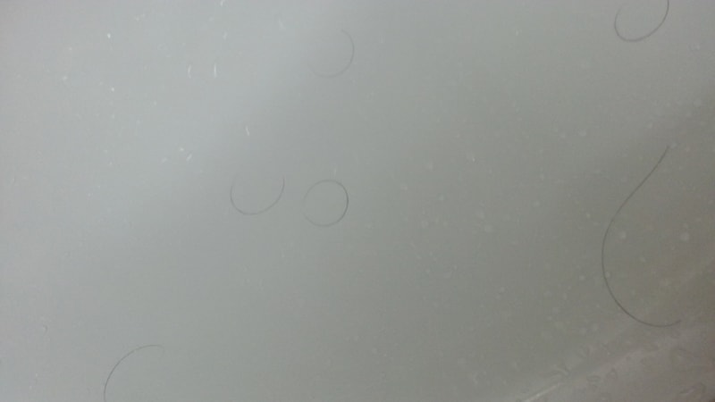 20170528_093625.jpg