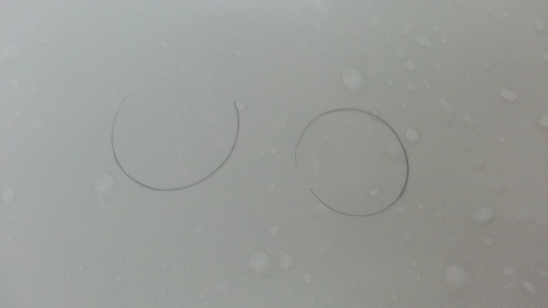 20170528_093634.jpg