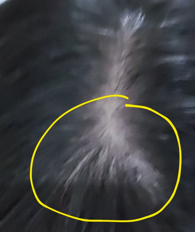 1000122825.jpg