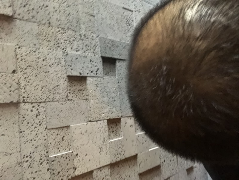 BD4DC0C9-F726-4209-AF7B-4D4A2474C5D6.jpeg