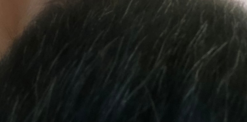 627B8526-457B-4D35-A729-A7302B684870.jpeg