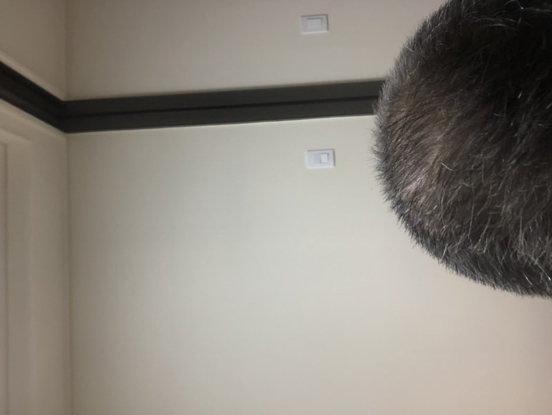 F8BBCDAD-5A6D-4E7C-A13B-CD8509885033.jpeg