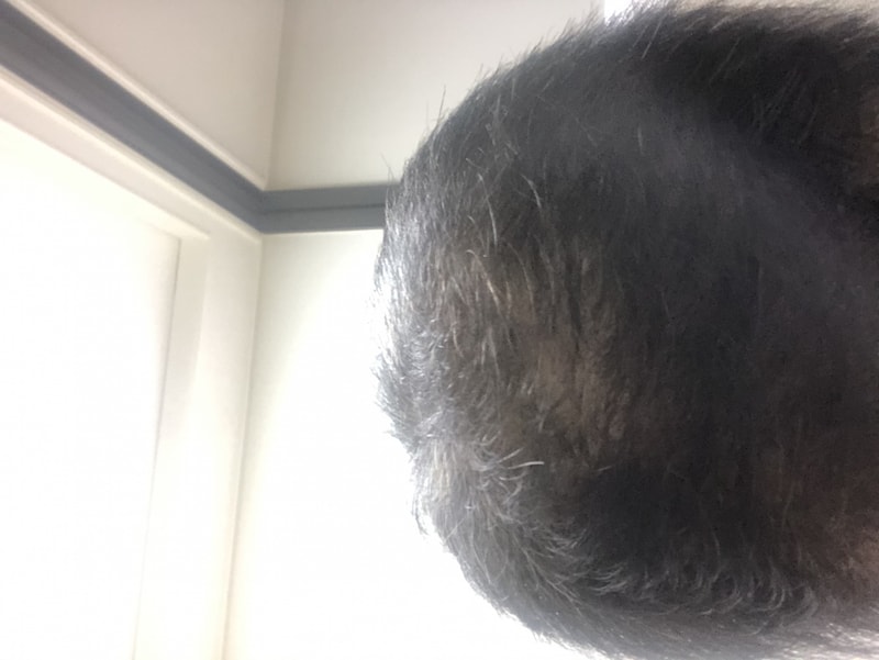 8AEEC58B-8BF0-4230-98C6-77AC74B40716.jpeg