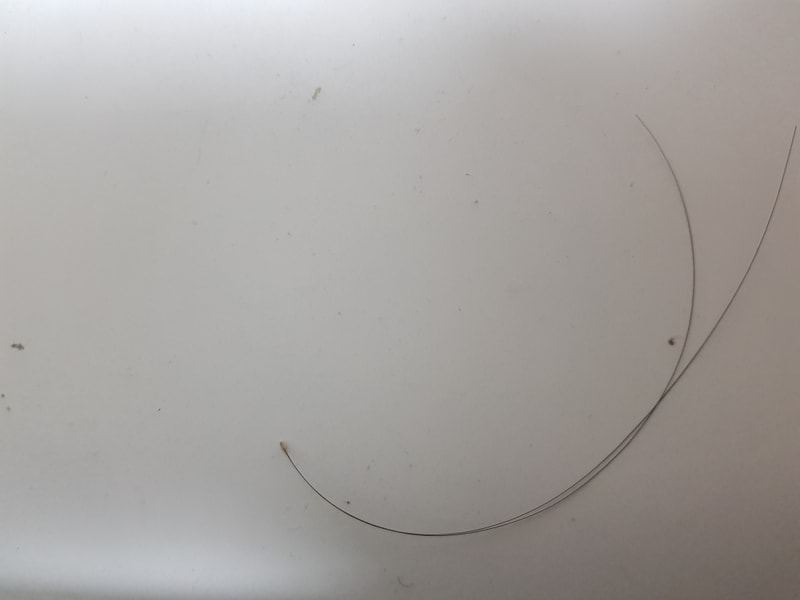 20190602_172206.jpg