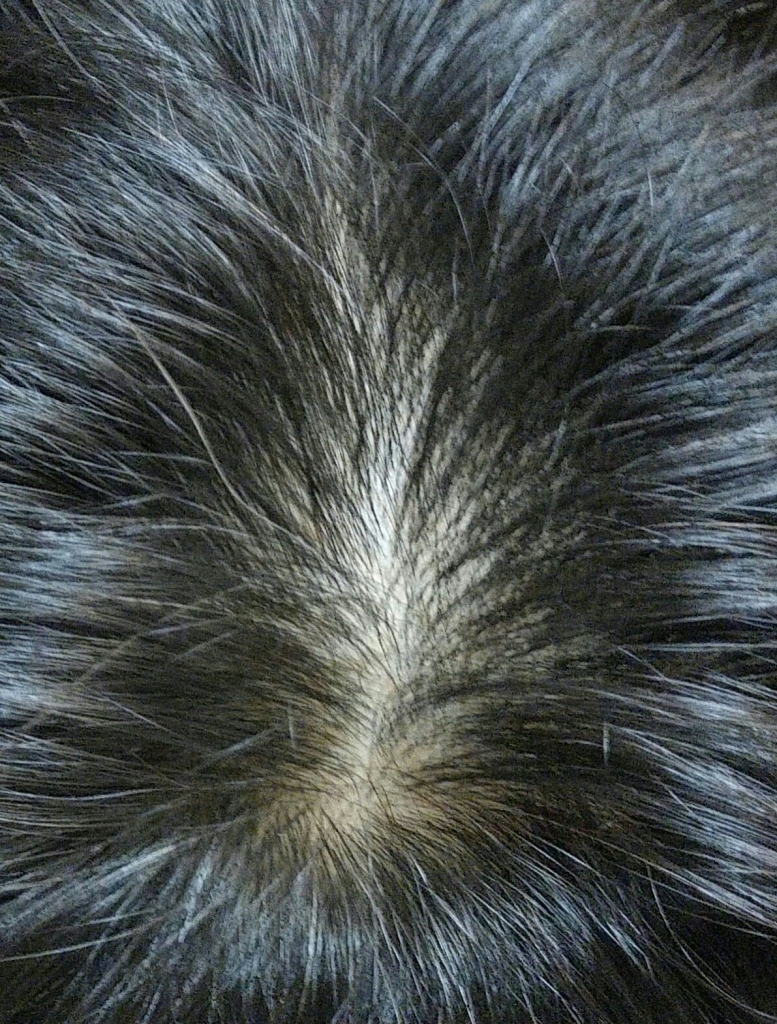 20150621_235825_HDR~2~2-1.jpg