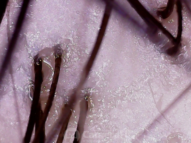 191016_175508.jpg