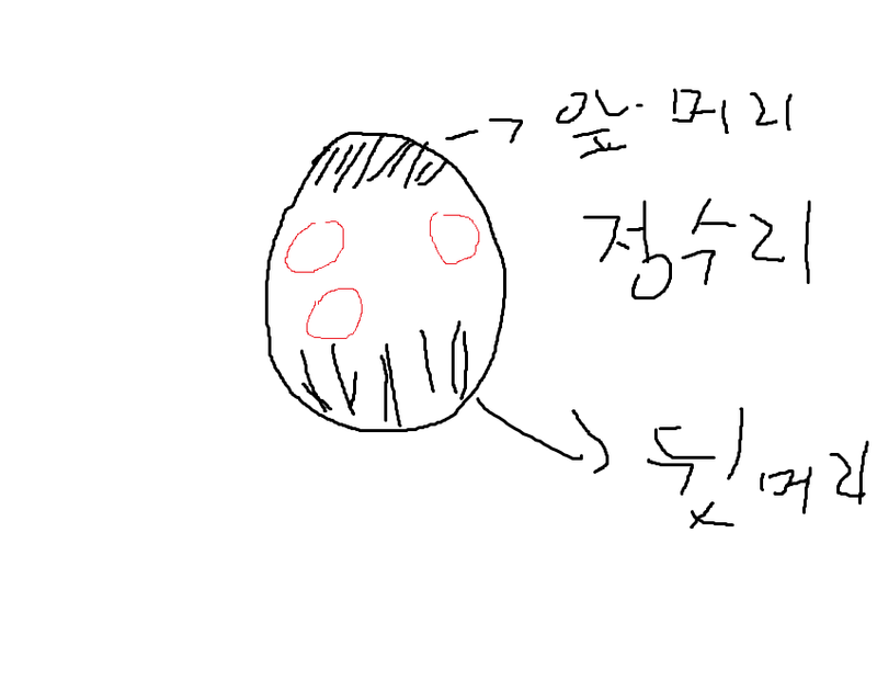 d21d21.png