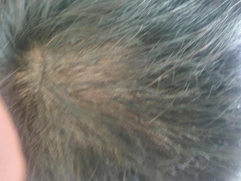 20201009_120631.jpg
