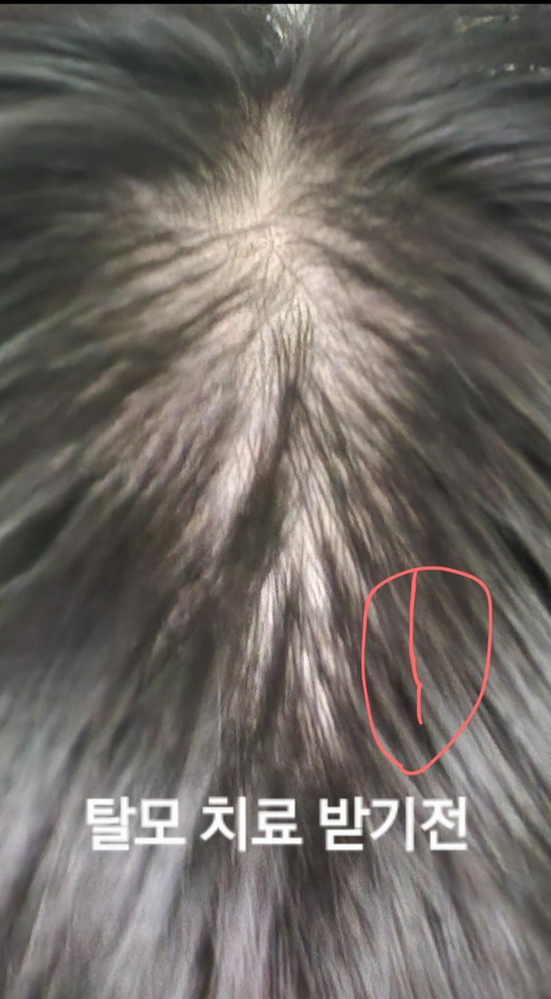 1000029115.jpg