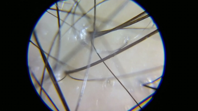 20171207_071342.mp4_000026285.png