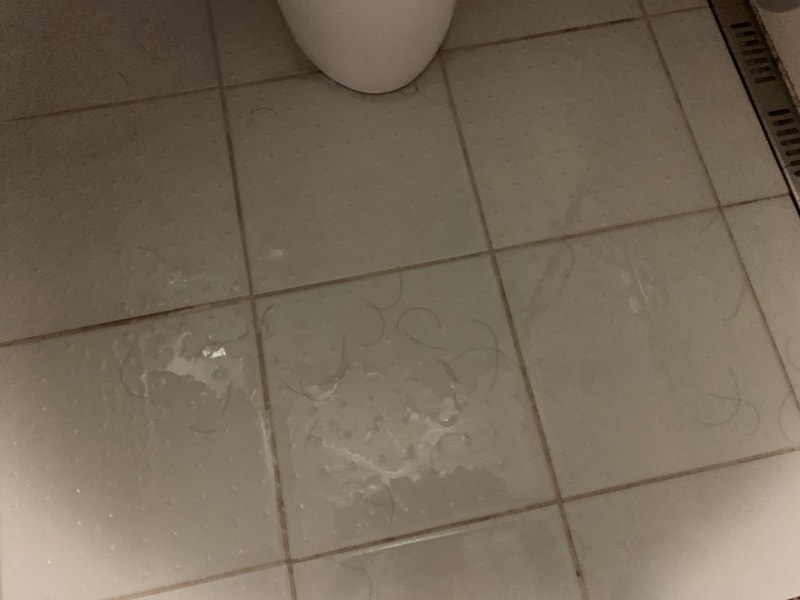 KakaoTalk_20190915_133806101.jpg