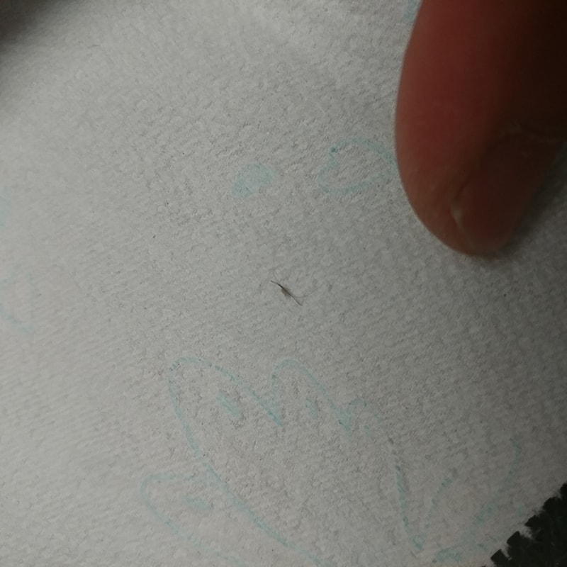 20170626_192500.jpg