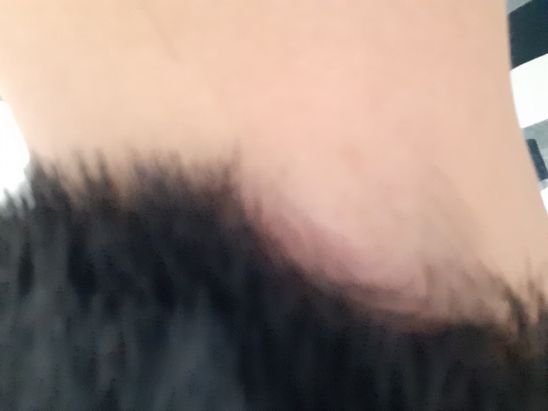 20200511_000011.jpg