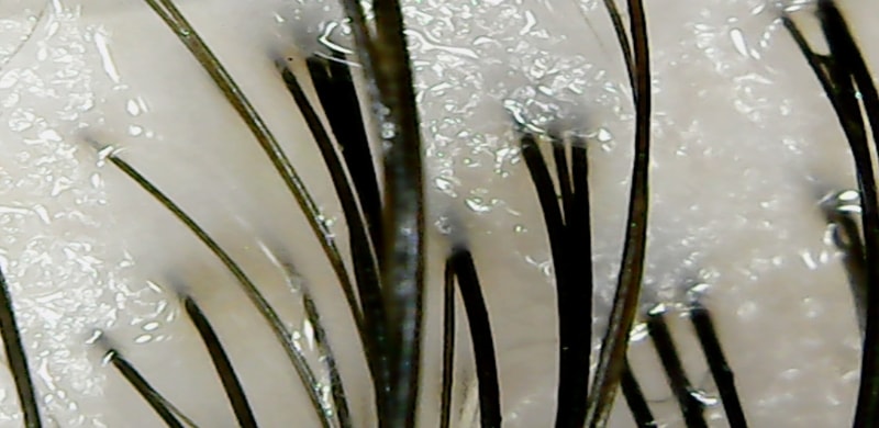 22_00000.jpg