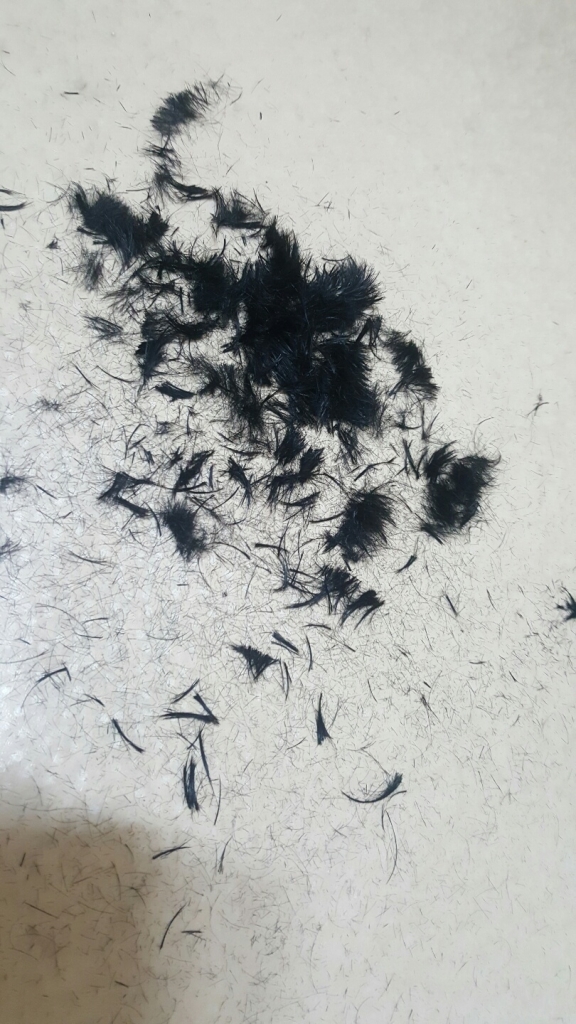 KakaoTalk_20161231_183743731.jpg