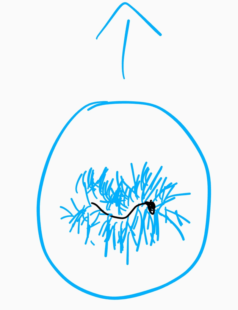 Screenshot_20211204-020156~2.png
