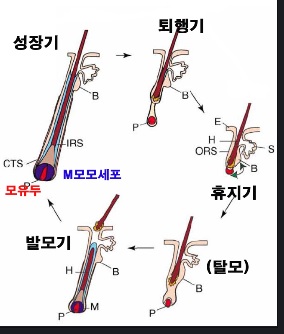 성장주지기.jpg