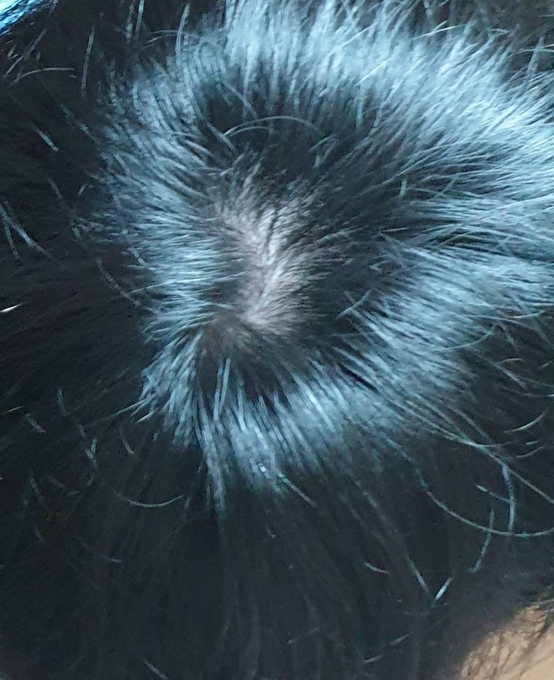 20240917_204829.jpg