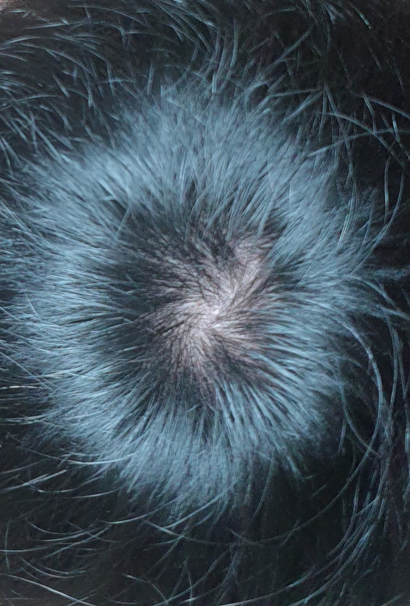 20240917_204530.jpg
