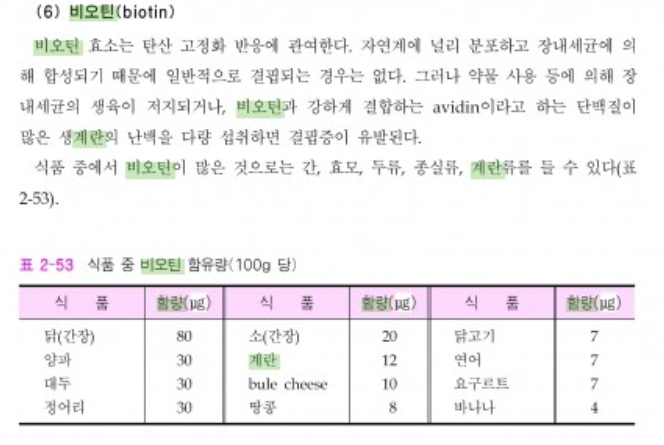 비오틴 계란.png