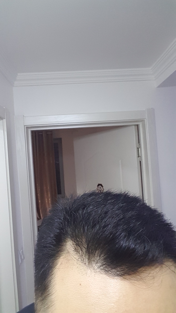 20180323_193202.jpg