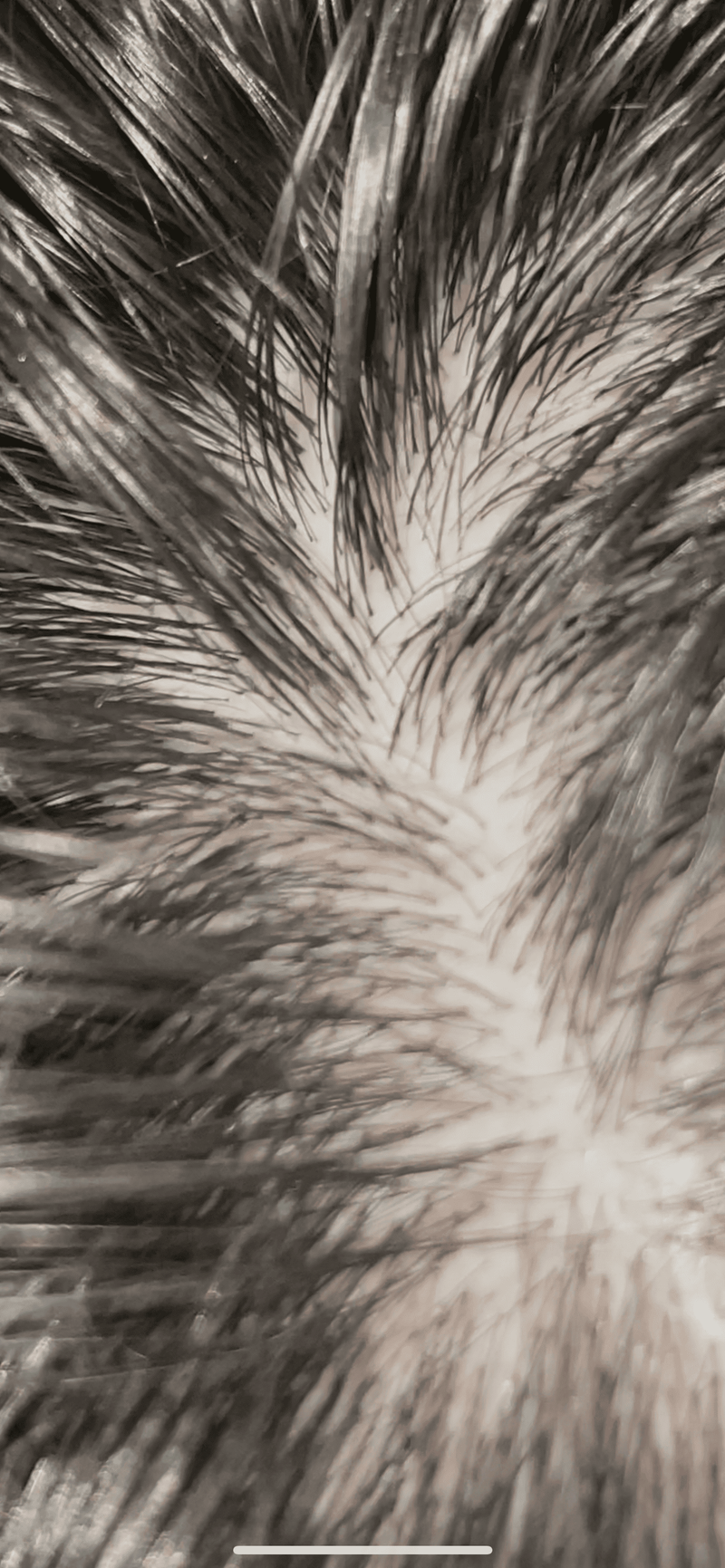 IMG_5488.png
