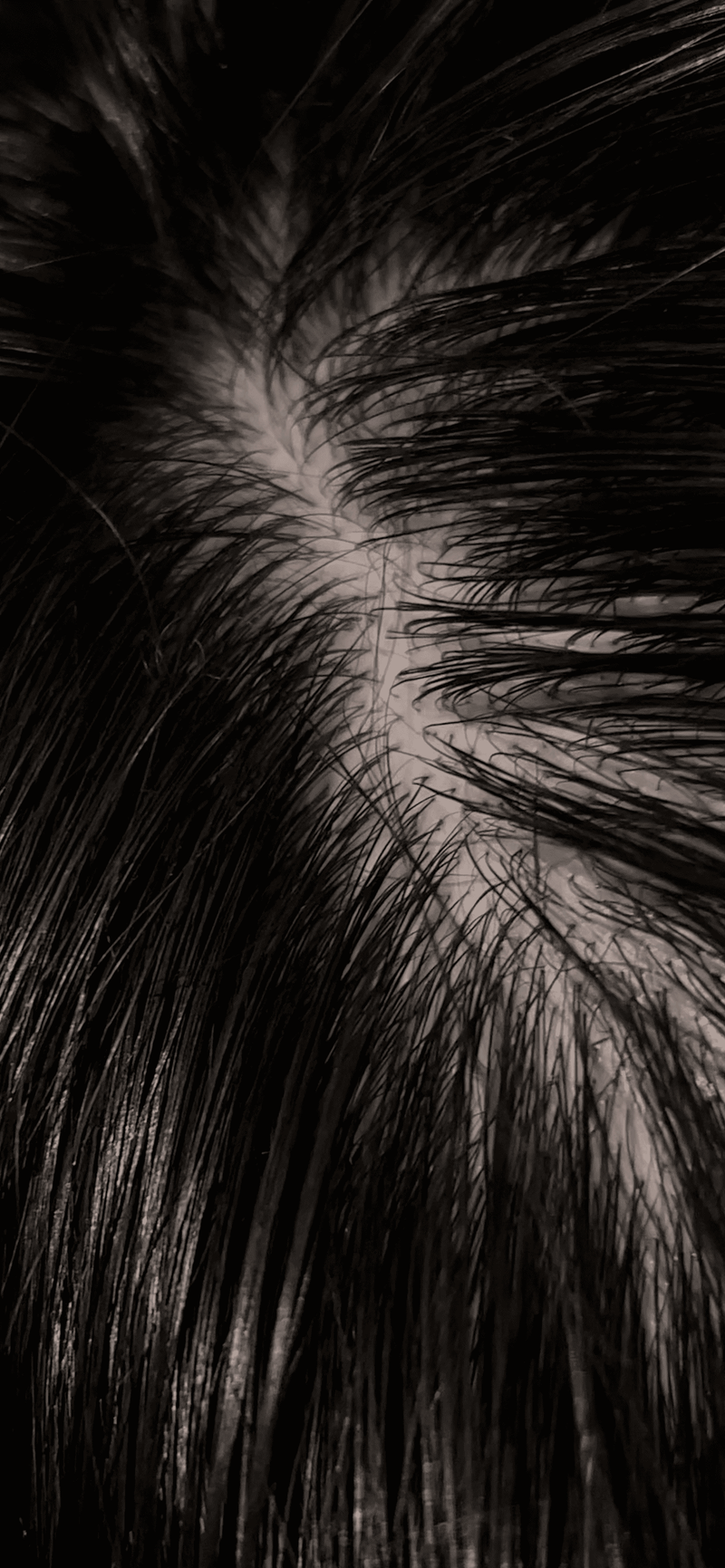 IMG_5489.png
