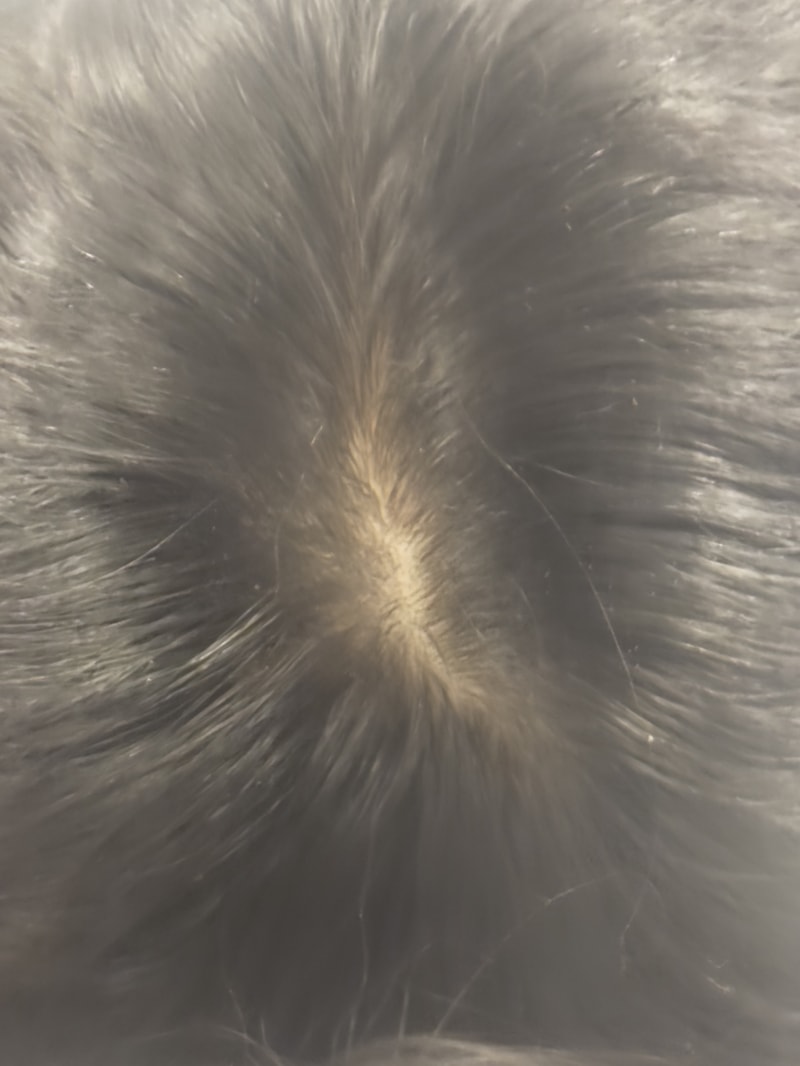 IMG_1305.jpeg