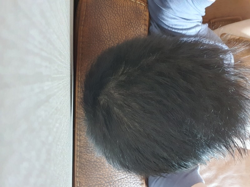 20190905_114555.jpg