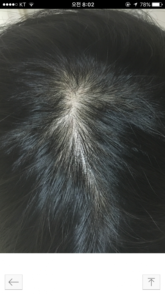 IMG_8393.PNG
