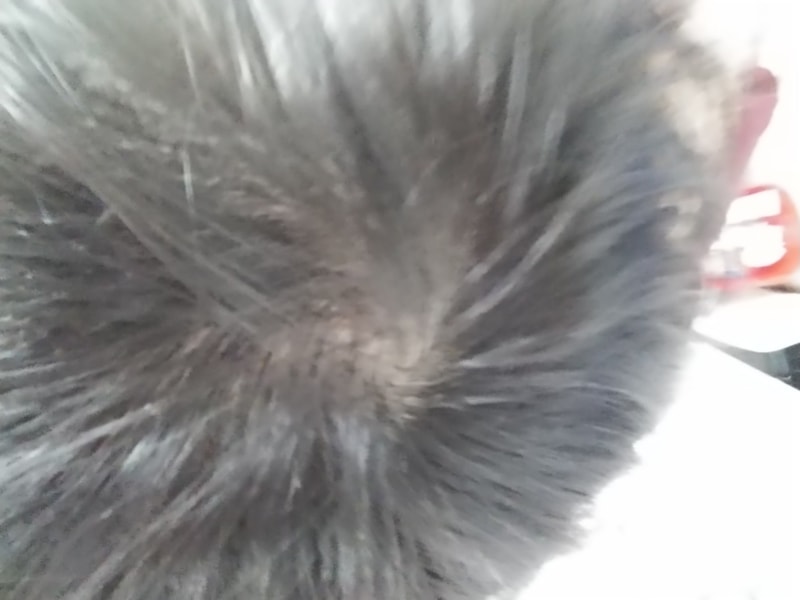 20180720_225011.jpg