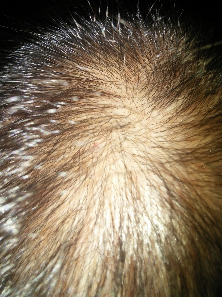 20171107_110243-1.jpg