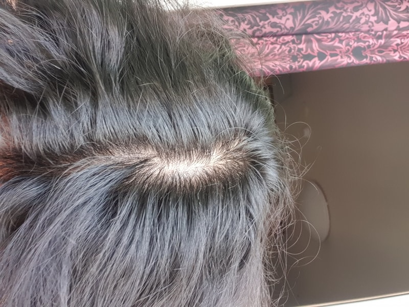20190824_180524.jpg