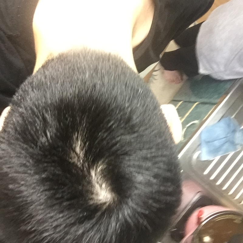 KakaoTalk_20170917_152358891.jpg