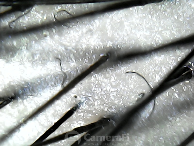 190503_193845.jpg