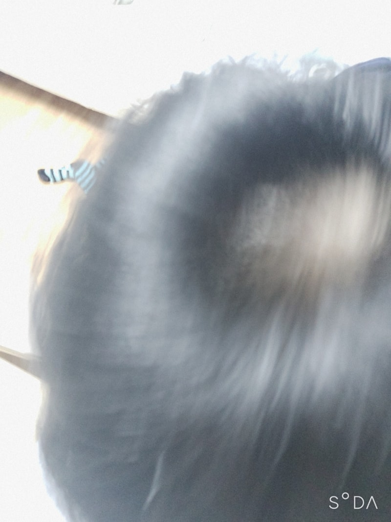2020-02-01-23-38-14-505.jpg