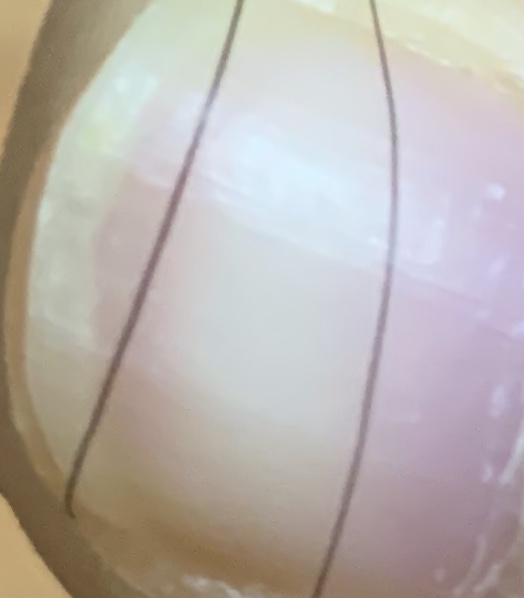 5ED6C252-2606-4CC5-B79E-98053DEA6FA8.jpeg