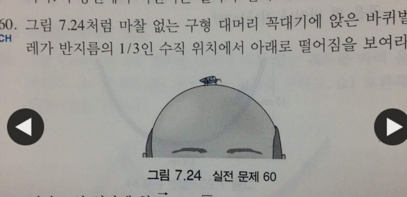 모낭도 마찰도 없는 대머리.jpg