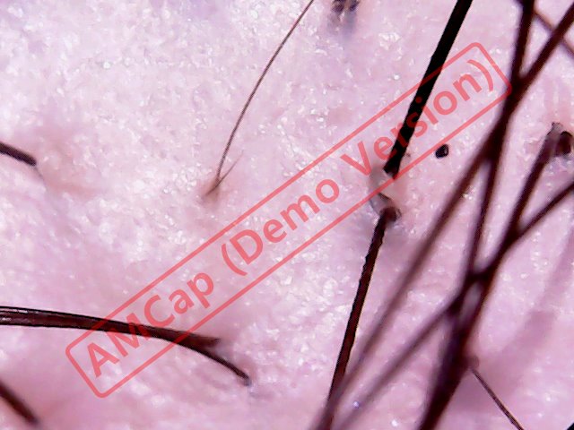 2018-08-21_141823_272.jpg