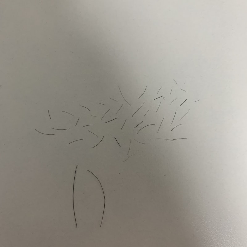 AA403D66-3D1B-428D-8947-F5860F8DD3A2.jpeg