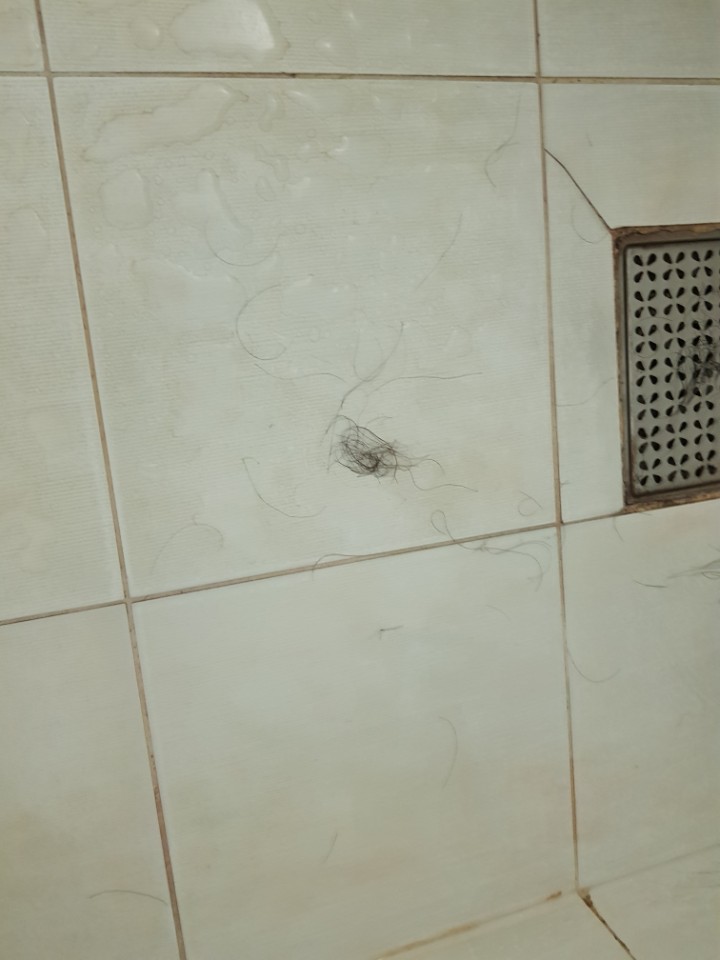 1504089379026.jpg